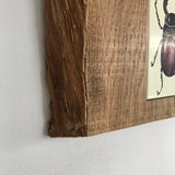 Schilderij tegel in eikenhout 'Vliegend hert' - Estable Store | Vintage art design | Rotterdam Hillegersberg